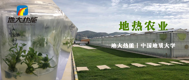 地熱在農業(yè)中的綜合利用助力雙碳目標實現|地熱農業(yè)-地大熱能 地熱在農業(yè)中的綜合利用助力雙碳目標實現|地熱農業(yè)-地大熱能