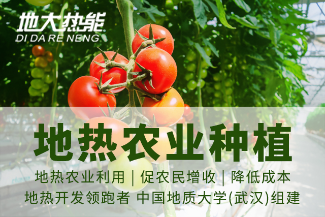 地?zé)豳Y源:內(nèi)蒙古發(fā)現(xiàn)的巨型地?zé)崽镉心男├梅绞?？地大熱? width=