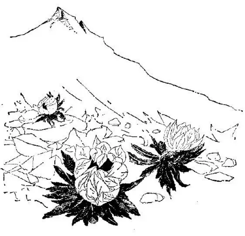 盤點(diǎn)各類地質(zhì)地貌類型-地?zé)豳Y源開發(fā)-地大熱能